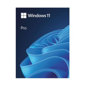 windows 11 pro getintopc
